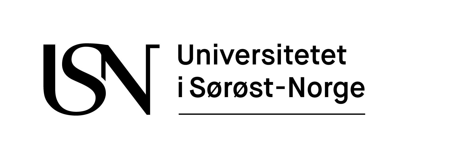 Logo USN